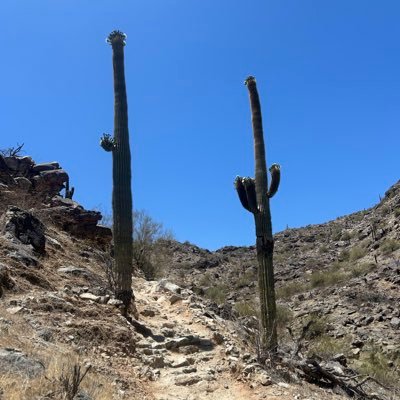johndaly43579's profile picture. 