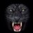 Black tiger