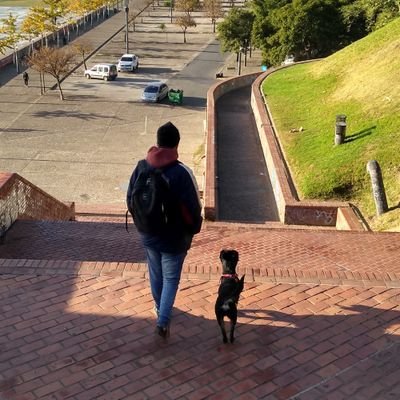 Acá se habla de seguridad informática, se critican las decisiones estratégicas de Ferrari y se sufre mirando a River y a los celtics. Letterboxer