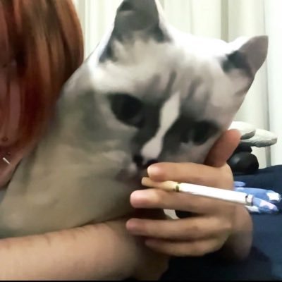 shu_fan0228's profile picture. 无坚不摧