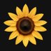 Sunflower (@trysunflower) Twitter profile photo Sunflower (@trysunflower) Twitter profile photo
