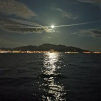 Leaurent (@laposidonie13) 's Twitter Profile