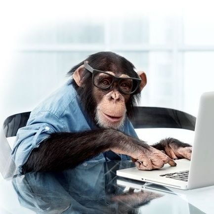Neverstopaping's profile picture. Retired Monkey.... But never stop Aping
