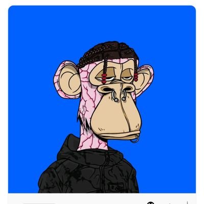 BASED_NFT Profile