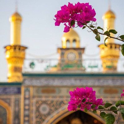 يَا لَيْتَنِي كُنْتُ مَعَهُمْ فَأَفُوزَ فَوْزًا عَظِيمًا
🇮🇷عشق، وطن ،حجاب (این تاج بندگیم) واژه هایی که
آرامم میکنند.💍🧕