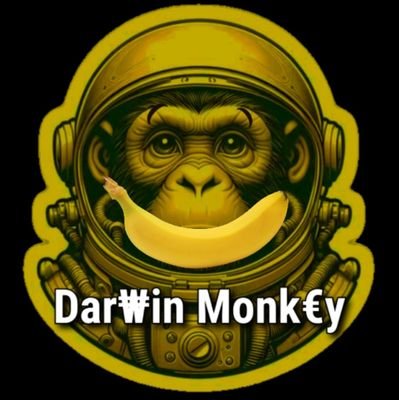 @lesingedarwin