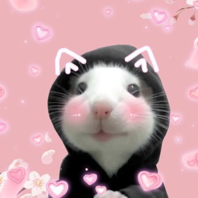 PhSNFT's profile picture. 