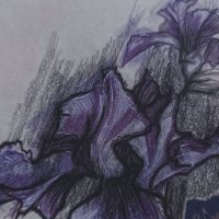 arleqlin (@arleqlinart) 's Twitter Profile Photo