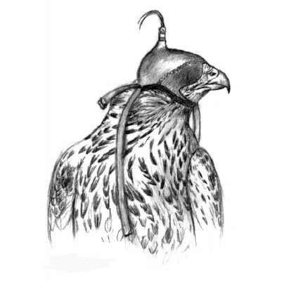 Pristalejo68's profile picture. 