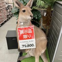 sola (@scorpio1025s63) 's Twitter Profile