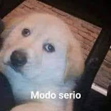 Midas teve que transformar tudo em ouro
Pra descobrir que o valor da vida estava no outro