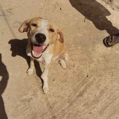 teseranyass78's profile picture. “for with God nothing shall be impossible “🙏🏾❤️