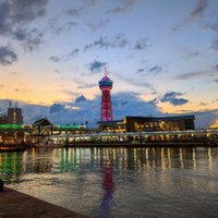 たいち (@osker2005) 's Twitter Profile
