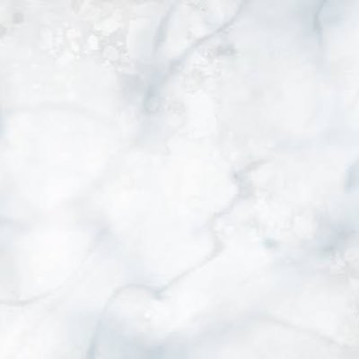 20⤴︎ 取引垢です/先送り可能/ペット、喫煙者× /友人代行の分含みます