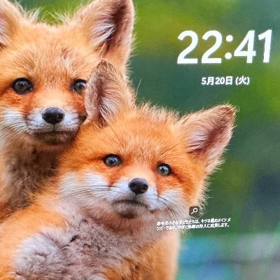 kobayasi_kun's profile picture. 