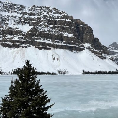 zenghuiw's profile picture. Be loading... 🇨🇦