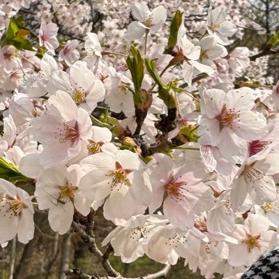 あきごろう(๑･㉨･๑)さんのプロフィール画像