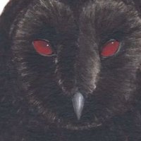 lana𓂃 ࣪˖ ִֶཐི༏ཋྀ (@slashinguitar) 's Twitter Profile