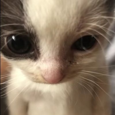 caueueu's profile picture. 