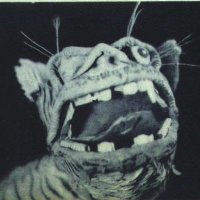 dumb guy (@detcap) 's Twitter Profile Photo dumb guy (@detcap) 's Twitter Profile Photo
