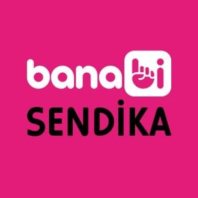 BirSendika's profile picture. 