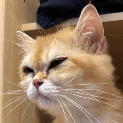 mts_jun's profile picture. 是非に及ばず