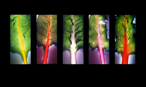 bocadelmortis's profile picture. Father & lesser half.  Happy chap trying to teach those who are willing to learn. Cooking since before the millennium...now in fruit & veg