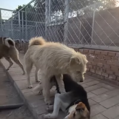 roman_dezso's profile picture. https://t.co/5DmZLGmeFR
Telegram:https://t.co/oMWfa4auud
Ca:7VStwmMDoUC8XjeAqss89qsx8s6Gr5C9jcwdphL6p