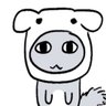 Zephsy's profile picture. Solo Developer
