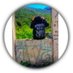 Zeashan Khan (@zeashankha77735) Twitter profile photo Zeashan Khan (@zeashankha77735) Twitter profile photo