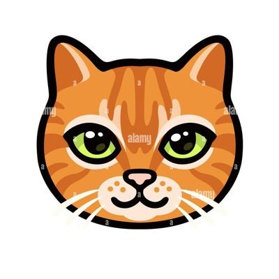 everhopefull23's profile picture. 