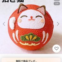 たぬきちゃん (@setsukotsu63771) 's Twitter Profile Photo