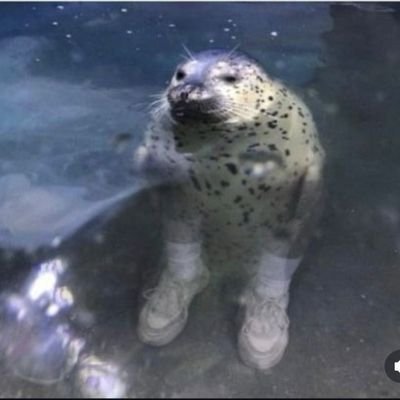 tv_esr's profile picture. 