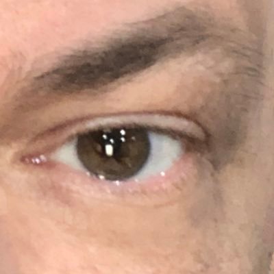 WilliamHewes4's profile picture. 🇺🇸🇺🇸 I have decided to follow Jesus, though none go with me, still I will follow