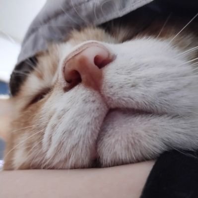 A_nishichia_A's profile picture. お得に目がないにしちあです😙✌️
誰にでも絡みに行きます🥺🥺
リポスト通知はオフ推奨！！まじで😀

肉☆魚☆寿司☆粉もの☆果物☆スコーン☆チョコ☆コーヒー☆大好き❤
映画☆釣り☆ボウリング☆ドライブ☆趣味💜
ドライヤー☆ヘアアイロン☆ルンバ☆美顔器☆マグネットジェル☆Yogibo☆ほしい🩷