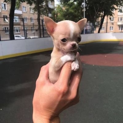 su__percali's profile picture. 