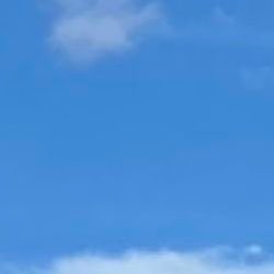 Maurita1524930's profile picture. 栃木♡一人暮らし　①⑧