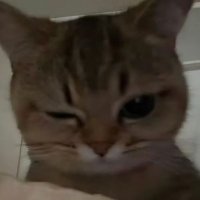 Ss (@typebts) 's Twitter Profile