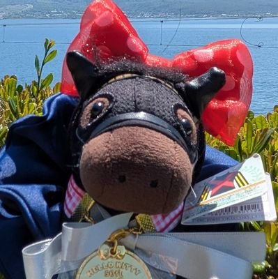 シャッッフ_休職中さんのプロフィール画像
