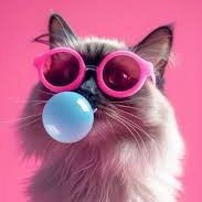 DenaS65363's profile picture. 