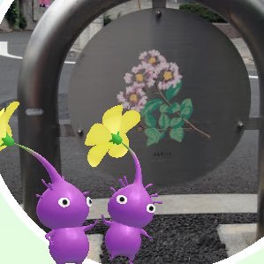 うさのさんのプロフィール画像