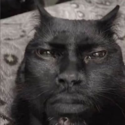 AaaBananapie's profile picture. 中文/Eng 用的翻译器