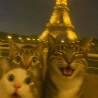 نهال (@ladyynoon) Twitter profile photo