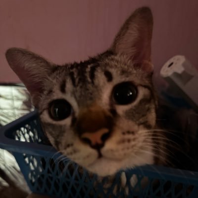 KroSai's profile picture. พึ่งโหลดมา