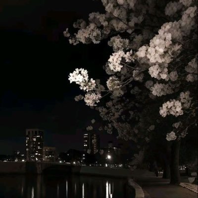 nvankl's profile picture. 🎀@jikkafutome_bs Sランク妖怪