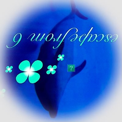Sueさんのプロフィール画像