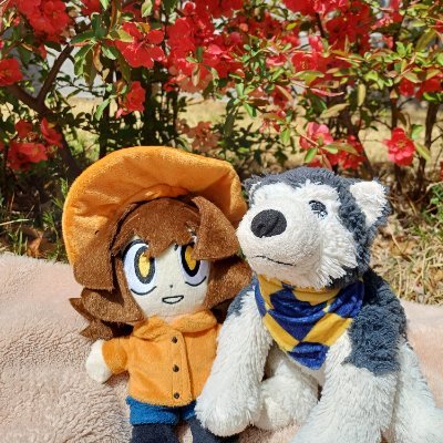 gimjiyeong27729's profile picture. 클로버는 사랑입니다💛🍀