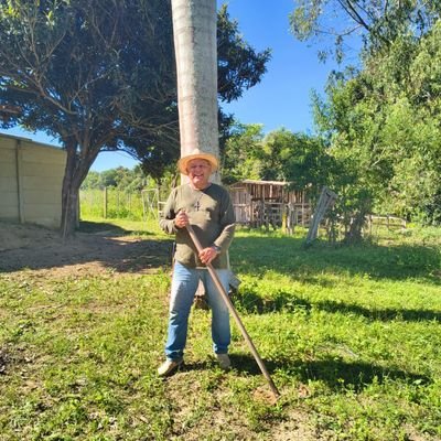 EdmarAntnioAma1's profile picture. Brasil acima de tudo! Deus acima de todos. (Deus, Pátria e Família)