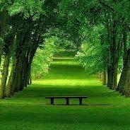 chikhurdekar's profile picture. Jai Shree Ram (Brahman Mulga)