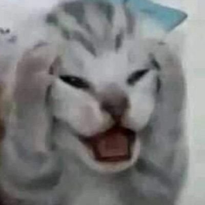 새미래민주당 지지자입니다
삼냥이와 가족이 삽니다.
이재명거부한다.재판받아 국민의힘해산 주장하시면 팔로워하지마세요.민주당프락치 꺼지세요.
No China